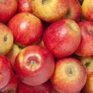 Manzana Roja