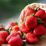 Frutilla Fresca